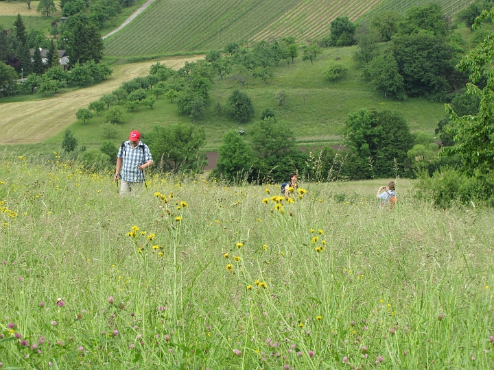 Wanderung 2013_091.jpg